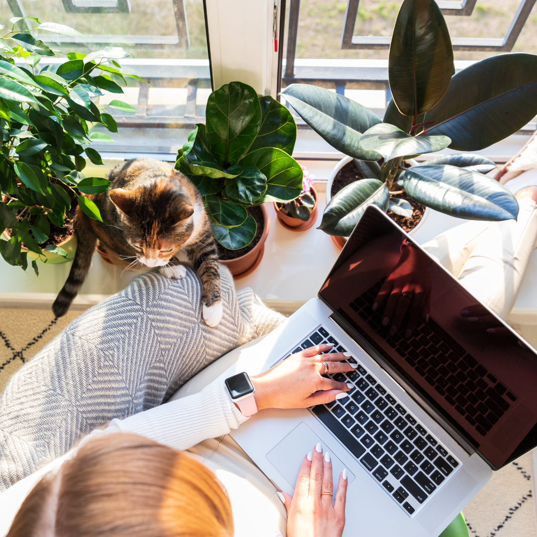 woman on computer next to cat and plants